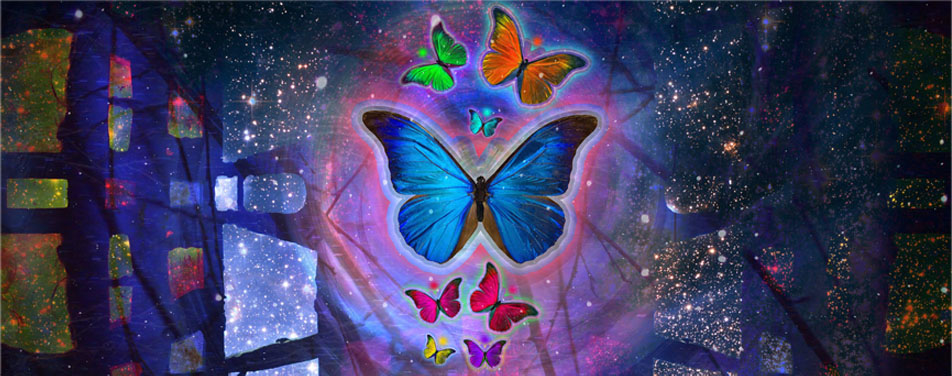 快手卡密店铺的免费ddos网页端